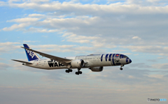 「良い天気」 ANA 787-8 JA873A [STAR WARS]