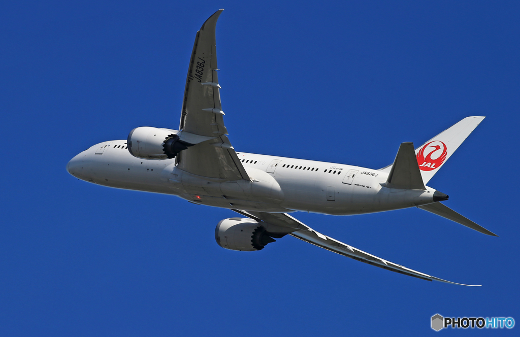 「すかい」JAL 787-8 JA836J 離陸