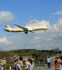 「良い天気」 Etihad 787-9 ほら見てごらん