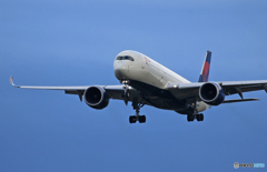 「あおいそら」DELTA A350-941 N507DN  Landing