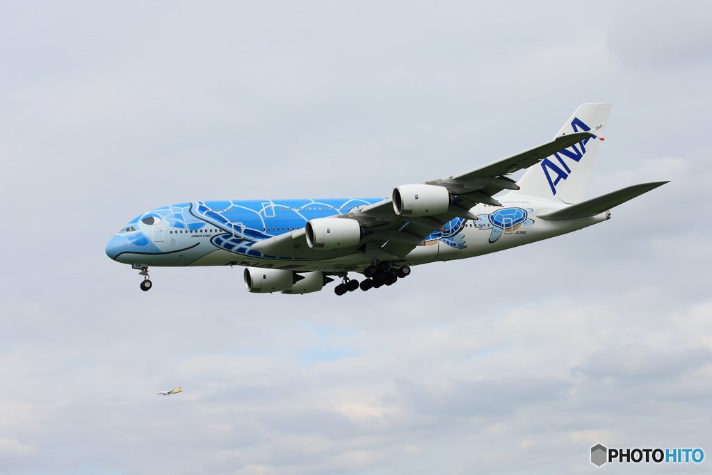 「ブルー」ANA Flying Honu JA381 到着　
