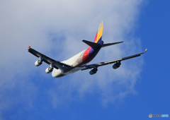 「真青の空」 Asiana 747-400 HL7640 飛ぶ