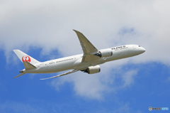「青色」 JAL 787-9 JA872J 出発です