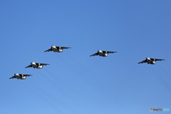 ☮休憩ﾀｲﾑ(561)   C-1 x5