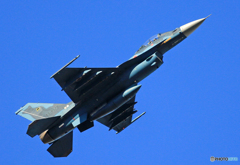☮休憩ﾀｲﾑ(627)  ☆  F - 2 A  ☆