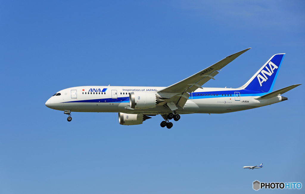「青が好き」 ANA 787-8 JA801A+ 着地前