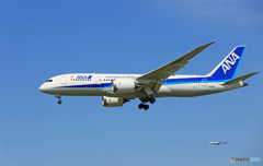 「青が好き」 ANA 787-8 JA801A+ 着地前