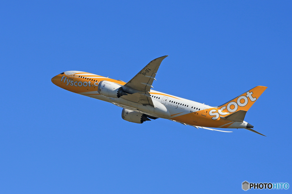「令和」 scoot 787-8 9V-OFA　Takeoff 