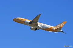 「令和」 scoot 787-8 9V-OFA　Takeoff 