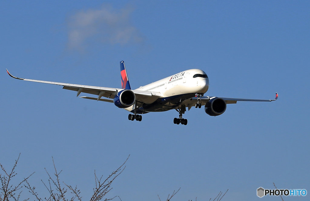 「スカイ」 DELTA A350-941 N509DN 着陸