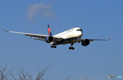 「スカイ」 DELTA A350-941 N509DN 着陸