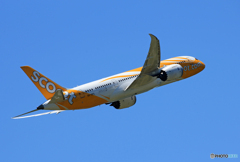 「青が大好き」scoot 787  9V-OFE  出発