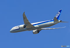 「SKY」 ANA 787-8 JA837A 離陸