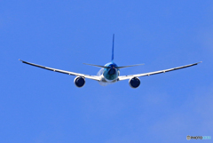 「青色」 Garuda 777-3U3 PK-GIF 飛行