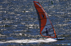 「晴れ」  素 敵 な １ 日 を ......