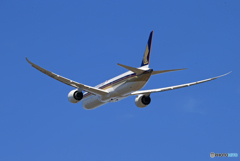 「Blue」 Singapore 787-10 9V-SCH Takeoff