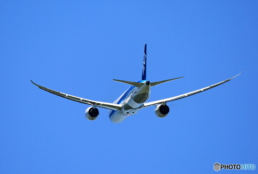 「青が大好き」 ANA 787-9 JA880A 離陸