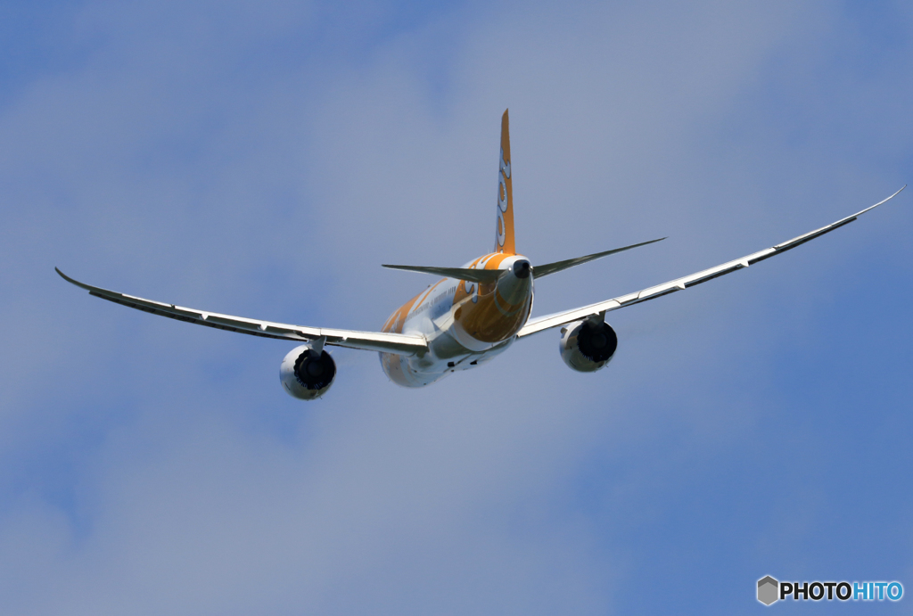 「ぶるー」 Scoot 787-9 9V-OFD Takeoff 