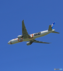 「青い空」が一番 STAR WARS JA789A 離陸