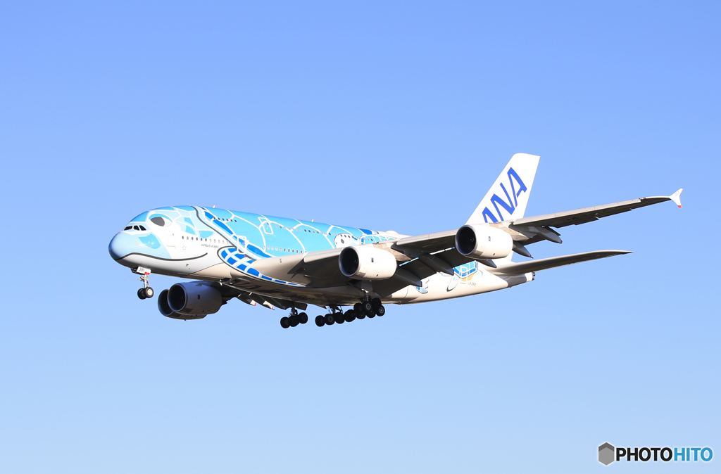 「良い空～」Flying Honu  A380-841 海亀 来た～
