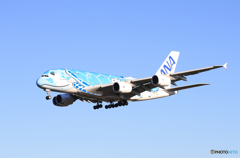 「良い空~」Flying Honu  A380-841 海亀 来た~ 「良い空~」Flying Honu  A380-841 海亀 来た~