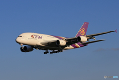 「青空」 THAI A380-841 HS-TUD Landing 