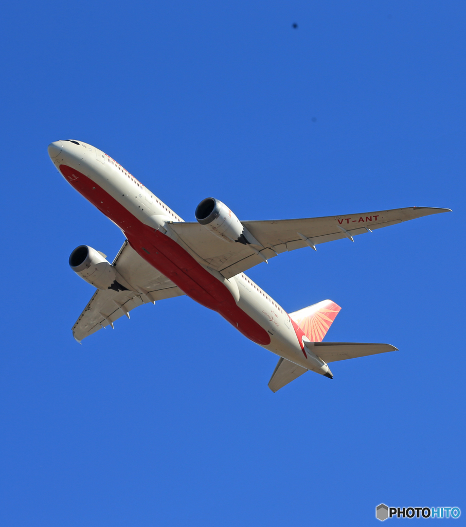 「群青色」 Air India 787-8 VT-ANT 飛び立ちです