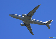 「空色」 China A330-243 B-6541 飛び立ち 