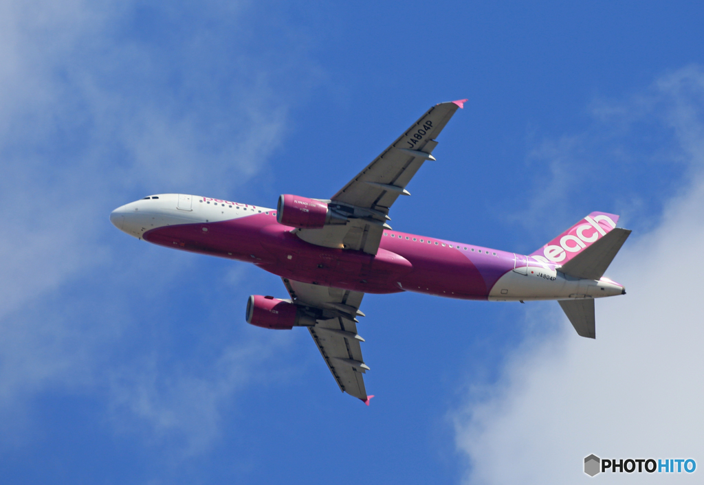 「すかい」 Peach A320-214 JA804P Takeoff 