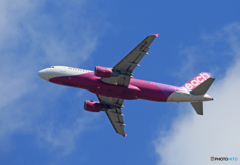 「すかい」 Peach A320-214 JA804P Takeoff 