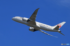  「晴れ」 JAL 787-8 JA842J 出発です 