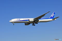 「青が好き」 ANA 777-381 JA779A 着陸です