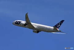 「良い空～」ポーランドLOT 787-8 SP-LSA 離陸