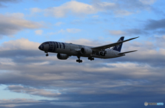 「空色」Star Wars 787-9 R2-D2  Landing