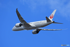 「スカイ」 JAL 787-8 JA843J 出発