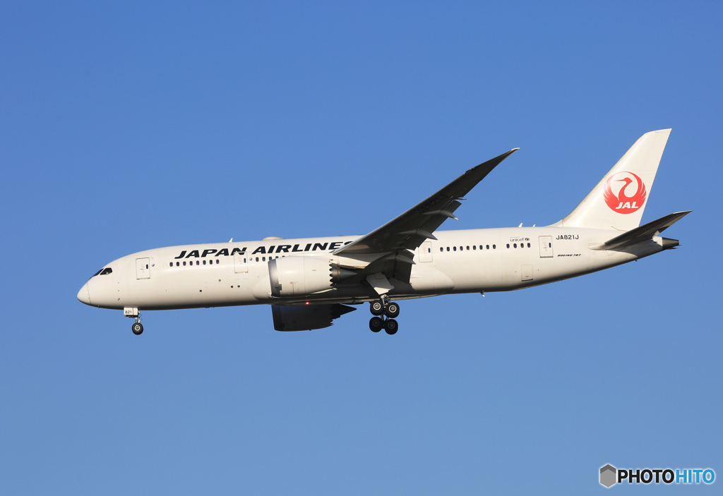 「あおいそら」JAL 787-8 JA821J   Landing