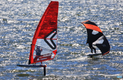 「青が大好き」Oh!   決まったね