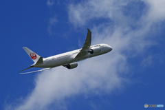 「空色」JAL 787-9 JA881J  離陸です