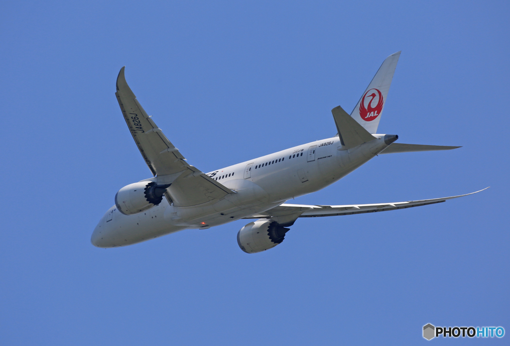 「青色が好き」  JAL 787-8 JA826J 飛び立ちです 