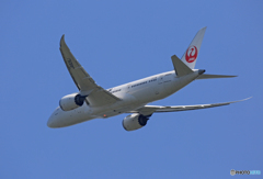 「青色が好き」  JAL 787-8 JA826J 飛び立ちです 