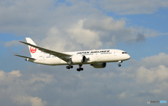 「群青」 JAL 787-8 JA838J Landing 