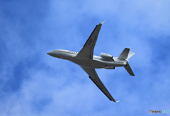 「空色」Private ダッソウファルコン　飛び立ちです