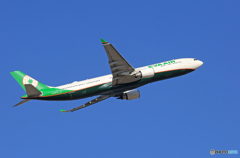 「青色」 EVA A330-300 B-16337 飛び立ちです
