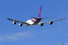 「ぶるー」 Thai A380-841 HS-TUF Takeoff 