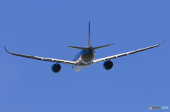 [青い空] Vietnam A350-941 VN-A890 出発
