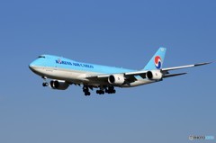 「群青」 Korean 747-8 HL7639 Landing
