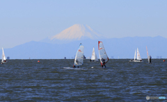 「あおいそら」富士山が見える浜辺