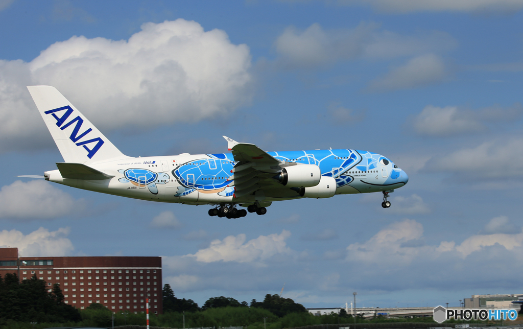 [青い空]　ANA  Flying Honu A380-841 到着