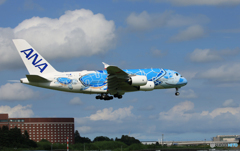 [青い空]　ANA  Flying Honu A380-841 到着