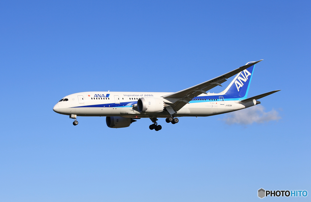 「群青」ANA 787-8 JA828A 着地前 